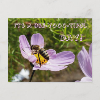 It's a bee-yooo-tiful day! / Bee Poscard Postcard