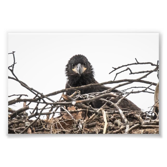 It's A Big New World Photo Print (Front)