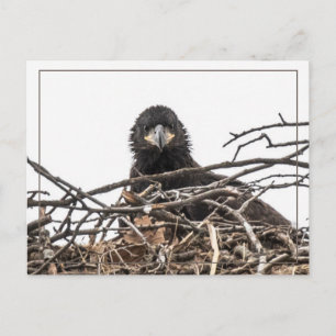 It's A Big New World Postcard