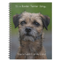 It's a Border Terrier thing