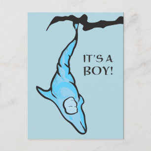 it's a boy! (blue dolphin cocoon) postcard