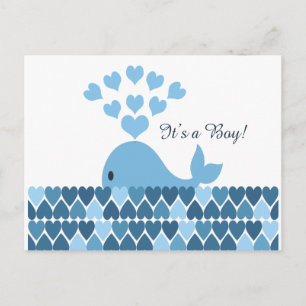 It's A Boy! Cute Whale Postcard