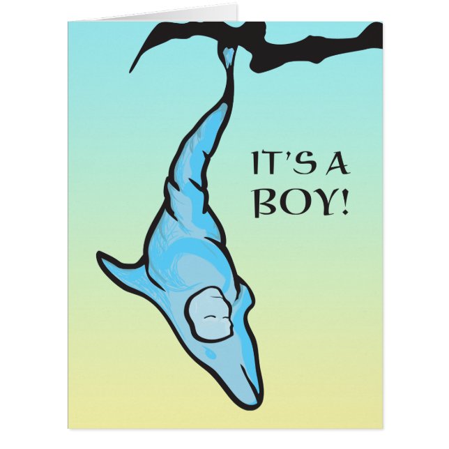 it's a boy! (dolphin cocoon) (Front)