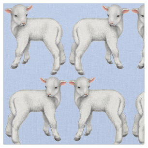 It's a Boy Little Baby Lamb Fabric