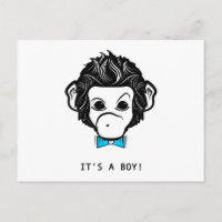 it's a boy! mister monkey