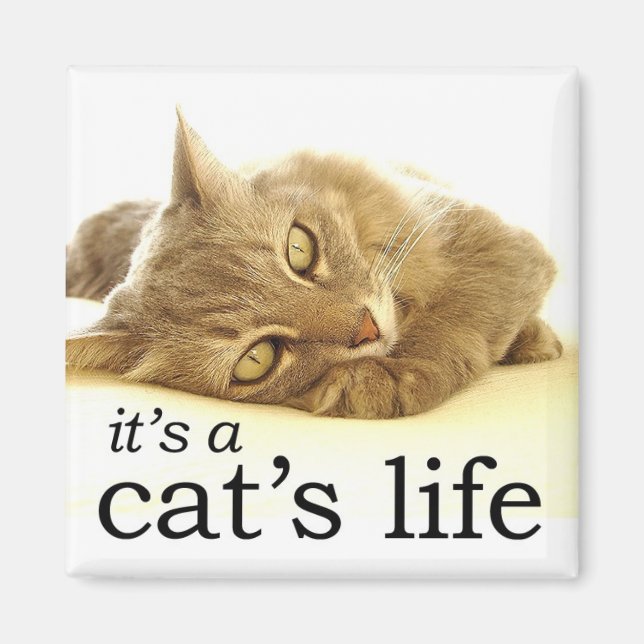It's a Cat's Life - Magnet (Front)