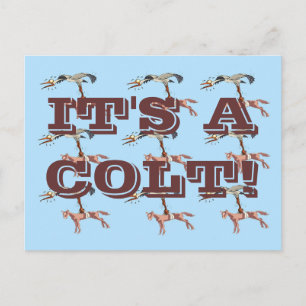 IT'S A COLT! POSTCARD