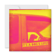 It's a Dog's Life Greeting Card