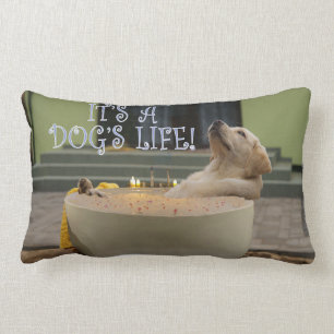 It's a dogs life lumbar cushion