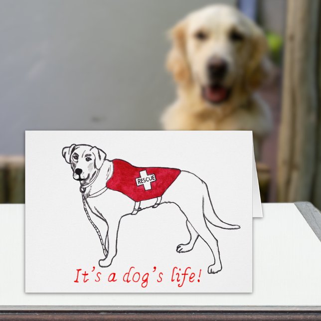 Its a dogs life quote simple Labrador drawing  (Its a dogs life quote with cute Labrador rescue dog simple line art drawing)