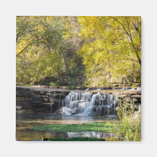 It's A Dogwood Waterfall Magnet (Front)