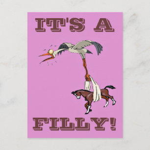 IT'S A FILLY 2! POSTCARD