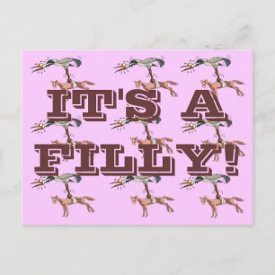 IT'S A FILLY! POSTCARD