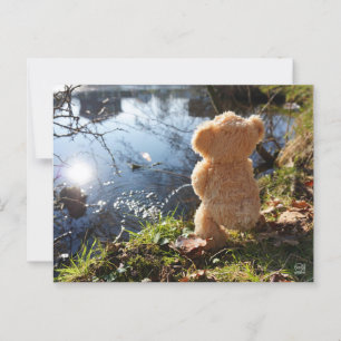 It's a funny bear who's teasing. postcard