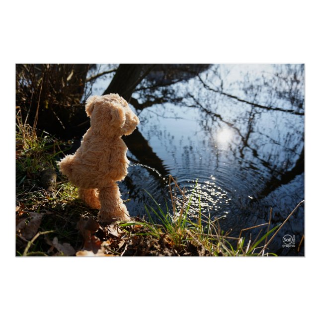 It's a funny bear who's teasing. poster (Front)