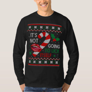 Its A Funny Squeaky Sound Funny Squirrel Christmas T-Shirt