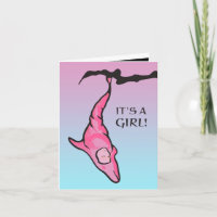 it's a girl! (dolphin cocoon)