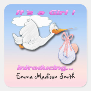 It's a Girl Stork Birth Announcement envelope seal