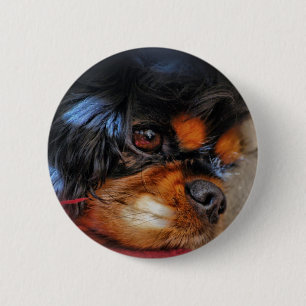 IT'S A HARD LIFE....... 6 CM ROUND BADGE