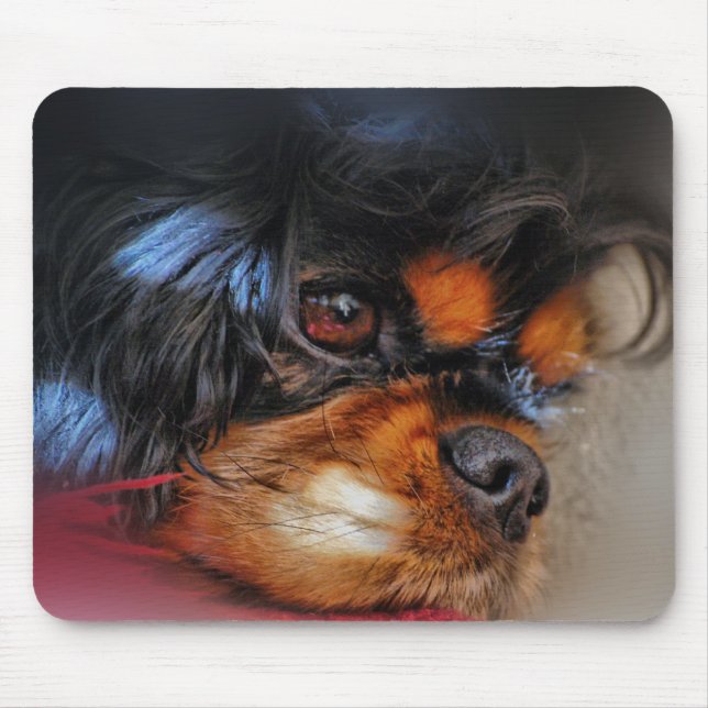 IT'S A HARD LIFE....... MOUSE PAD (Front)