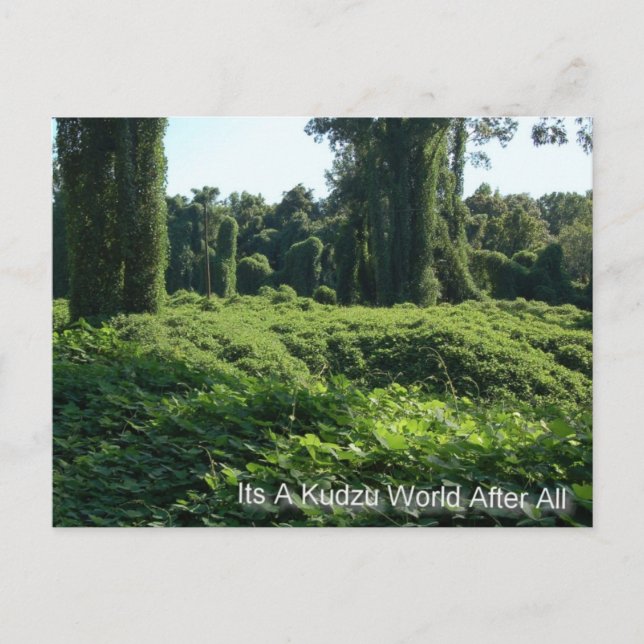 Its A Kudzu World After All Postcard (Front)