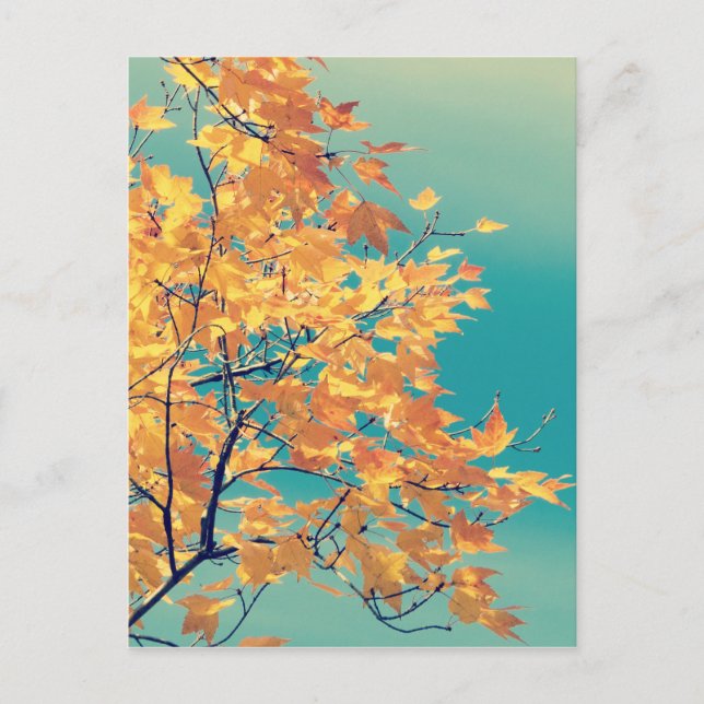 It's a Leaf Thing 1 Postcard (Front)