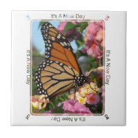 It's A New Day (Monarch Butterfly)