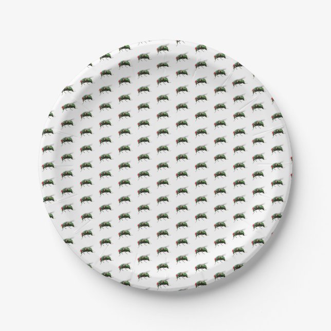 It's A Picnic, There's Gonna Be Flies Paper Plate (Front)