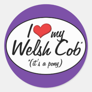It's a Pony! I Love My Welsh Cob Classic Round Sticker