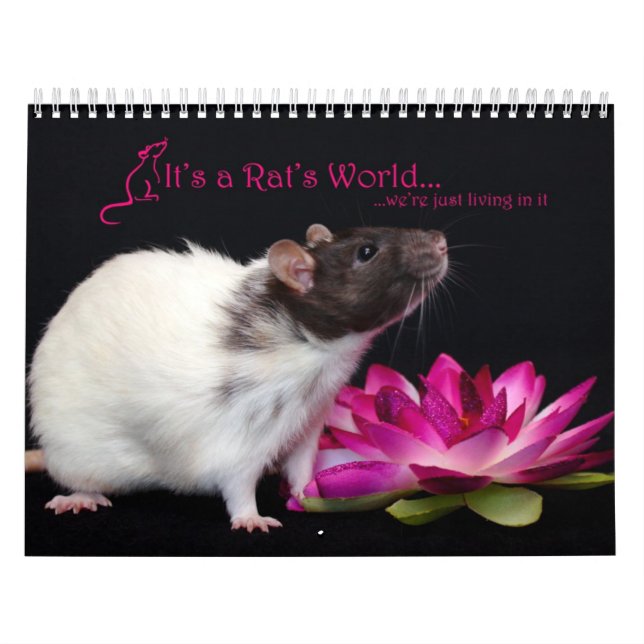 It's a Rat World Calendar 2016 (Cover)