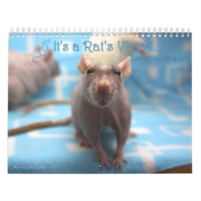 It's a Rat World Calendar 2016 (Cover)
