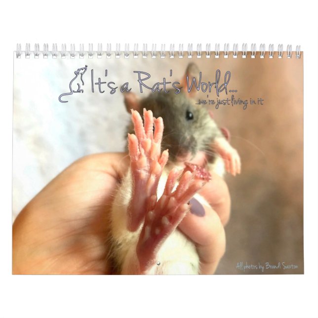 It's a Rat's World Calendar (Cover)