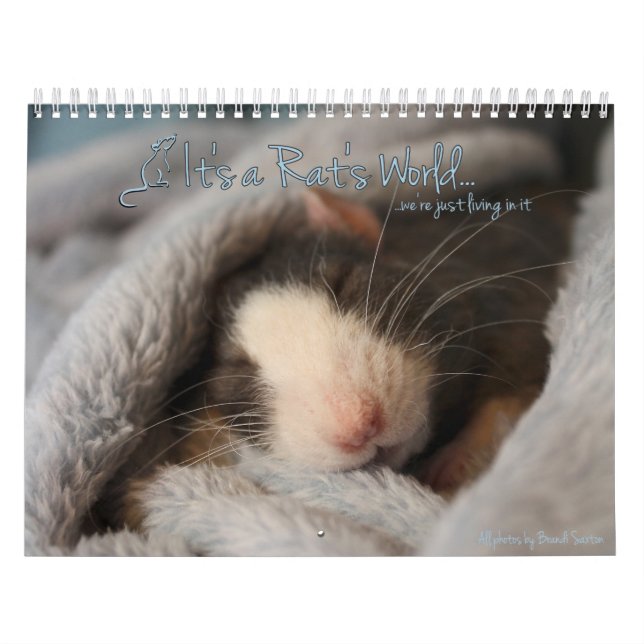 It's a Rat's World Calendar (Cover)