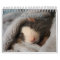 It's a Rat's World Calendar