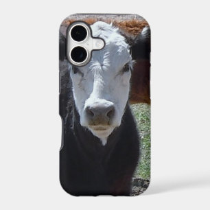 It's a Roundup! Black White Cattle Cow Calf Calves