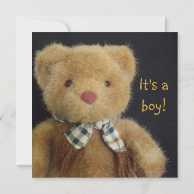 It's a Teddy Bear! Invitation (Front)