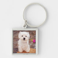 It's A Westie Thing!