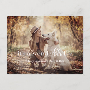 It's a WonderFUR Life: Pet Christmas Postcard