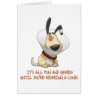 It's All Fun and Games Until You're Wearing A Cone