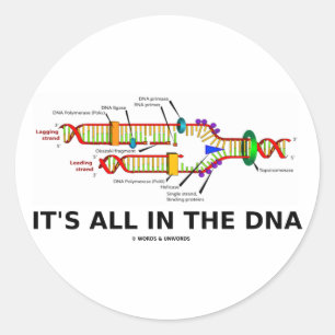 It's All In The DNA Classic Round Sticker