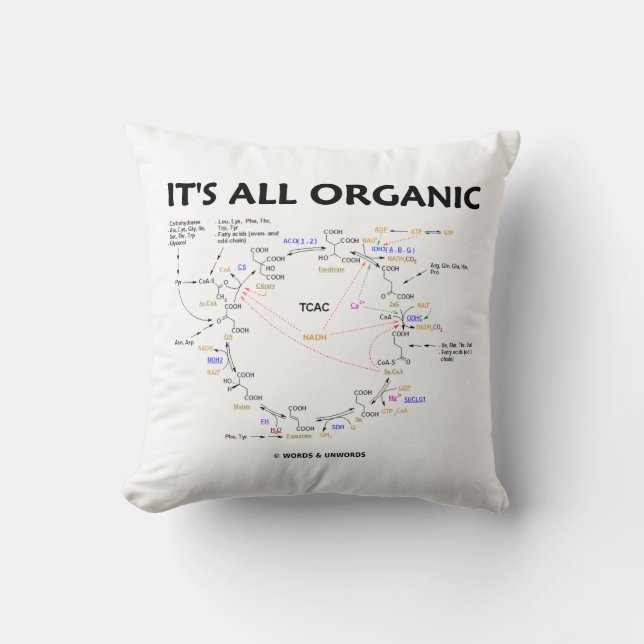 It's All Organic Krebs Cycle Citric Acid Cycle Cushion (Front)