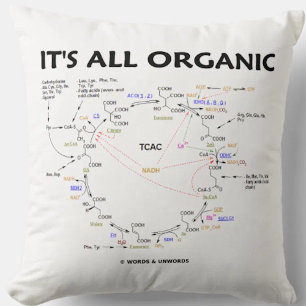 It's All Organic Krebs Cycle Citric Acid Cycle Cushion