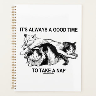 It's Always A Good Time To Take A Nap Three Cats Planner