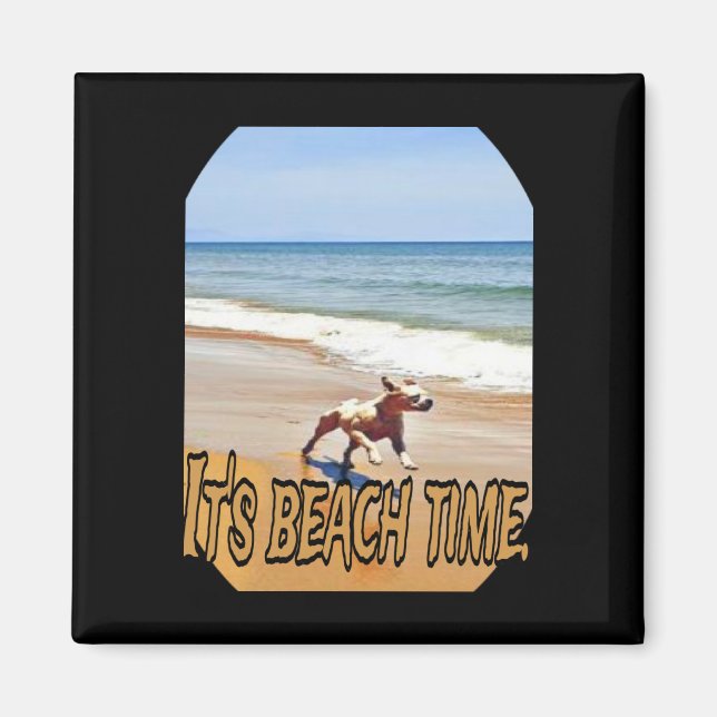 Its Beach Time  Magnet (Front)