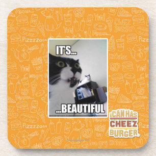 It's Beautiful Coaster