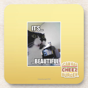 It's Beautiful Coaster