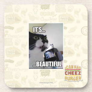 It's Beautiful Coaster