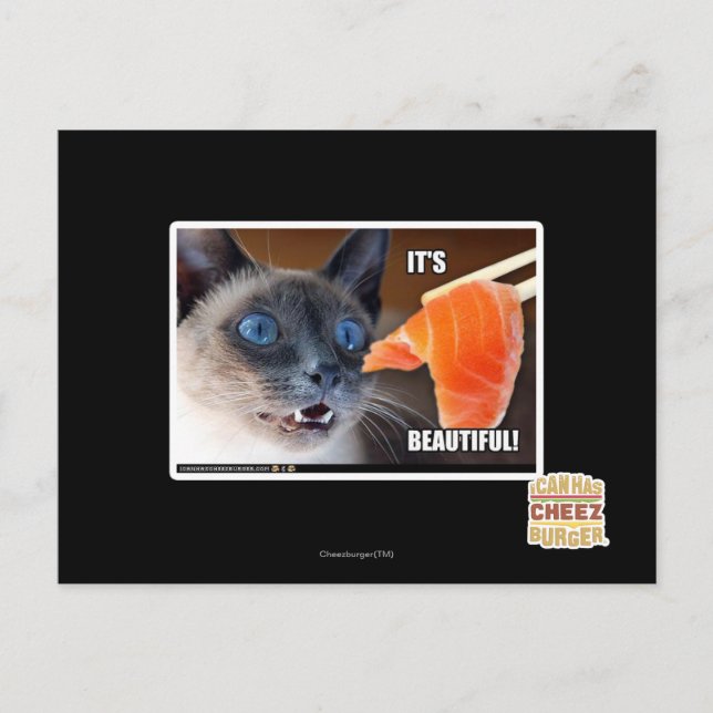 It's Beautiful! Postcard (Front)