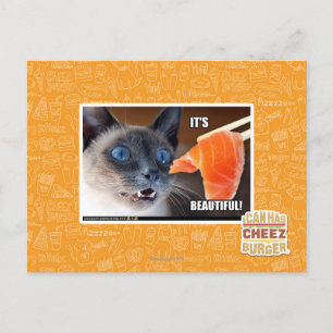 It's Beautiful! Postcard