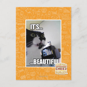 It's Beautiful Postcard